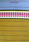 Mujaki frn Sydafrika, vv i bunden rosengng ur serien Kvinnor i Vrlden, textilkonstnr katrin bawah.