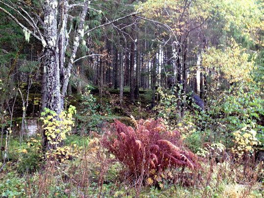 Ransberg